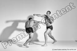 Fighting reference poses